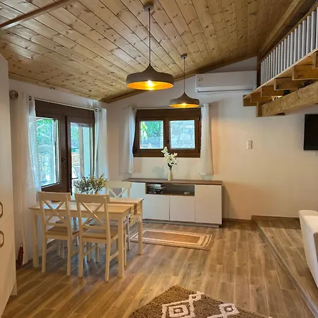 Dom wakacyjny Luxury Loft *